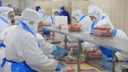 2700萬(wàn)元專項(xiàng)扶持助力我市小食品生產(chǎn)線升級(jí)